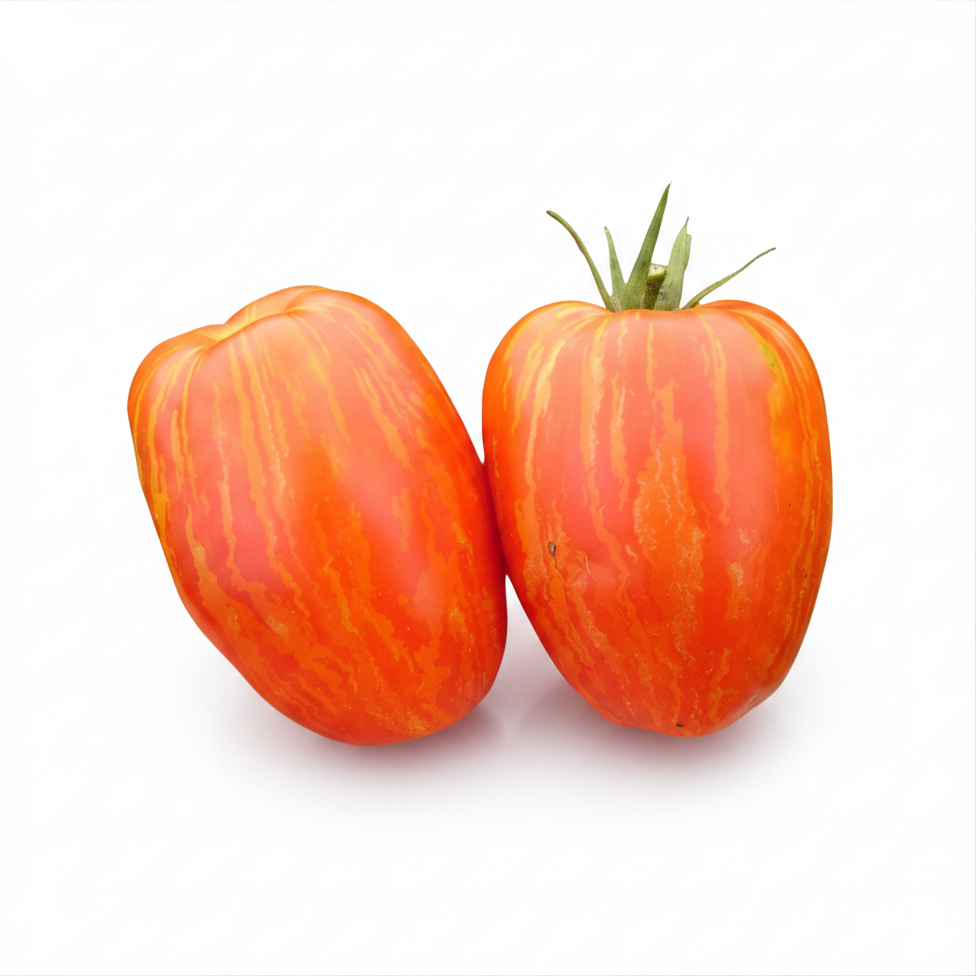 Semences de tomate Speckled Roman