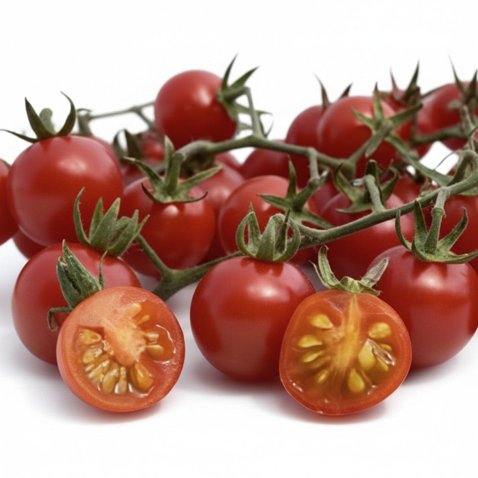Semences de Tomate groseille hawaïenne 