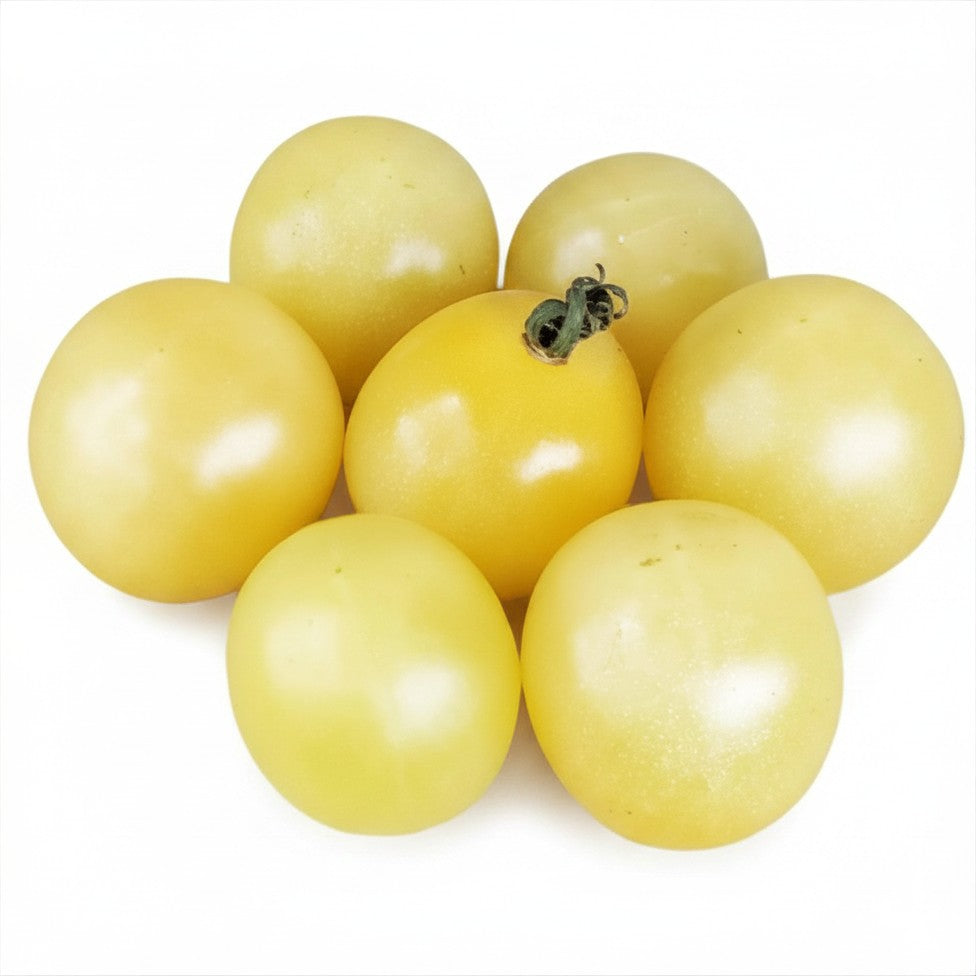 Semences de Tomate cerise blanche