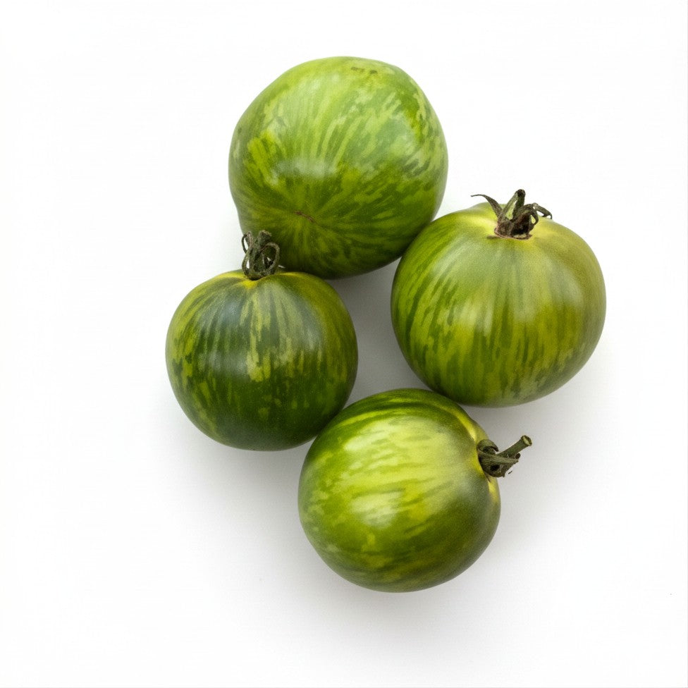 Semences de Tomate Green Zebra