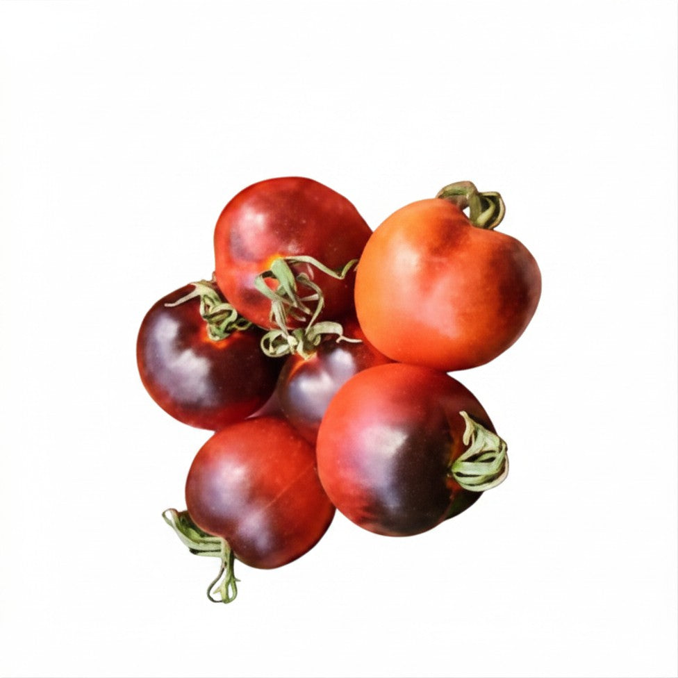Semences de Tomate Indigo Rose