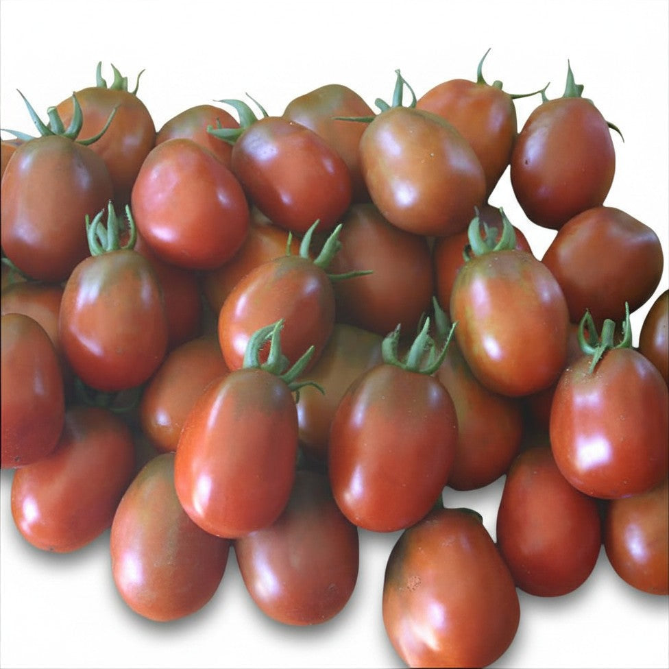 Semences de Tomate Black Plum