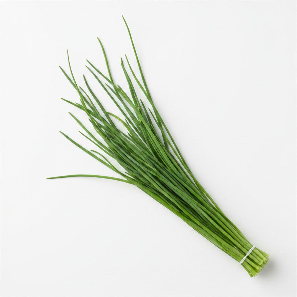 Semences de Ciboulette