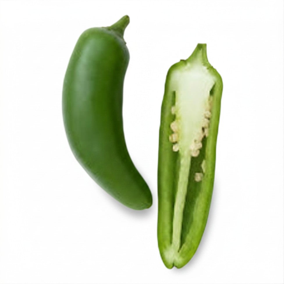semences de piment jalapeno