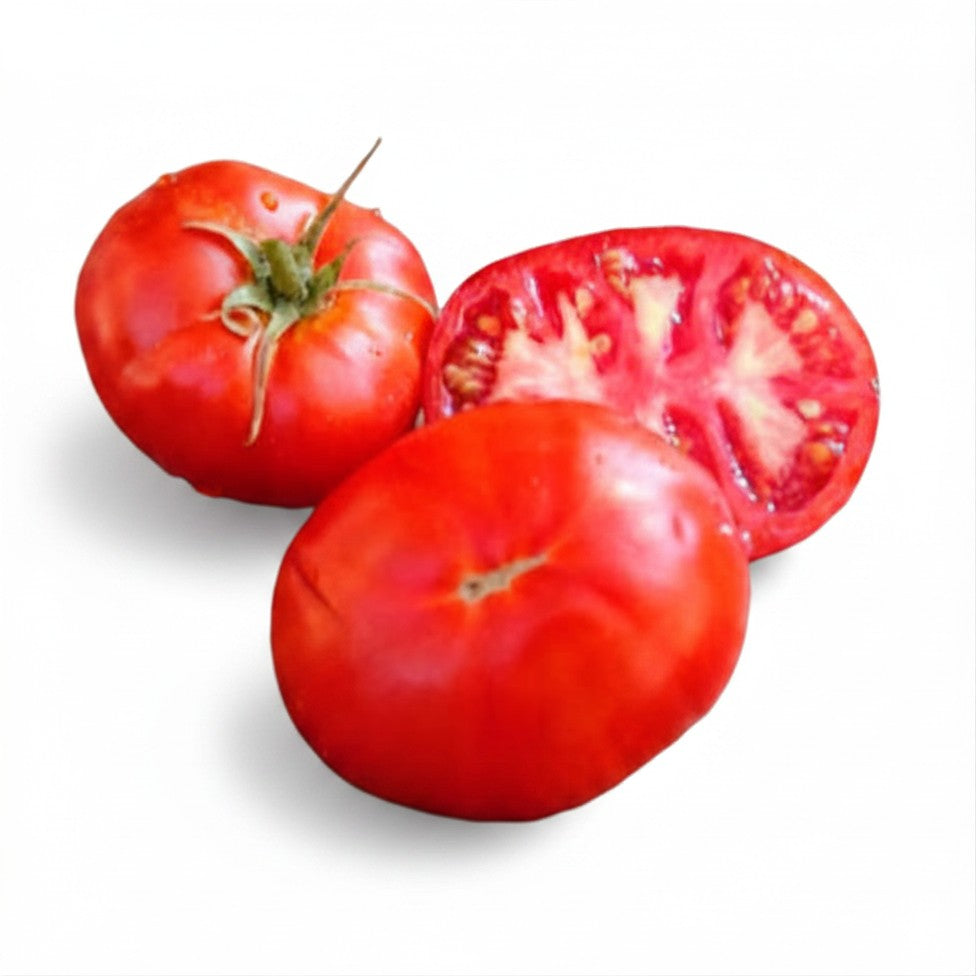 Semences de Tomate Silvery Fir