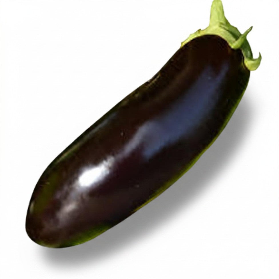 Seeds - Eggplant Diamond