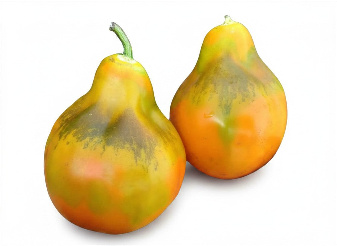 Tomato Seeds Giant Orange Pear