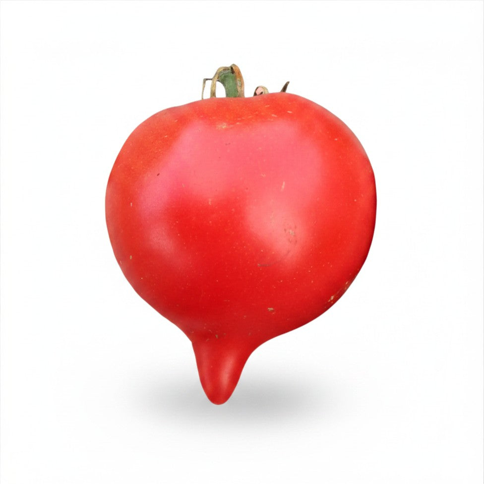 Teardrop Tomato Seeds