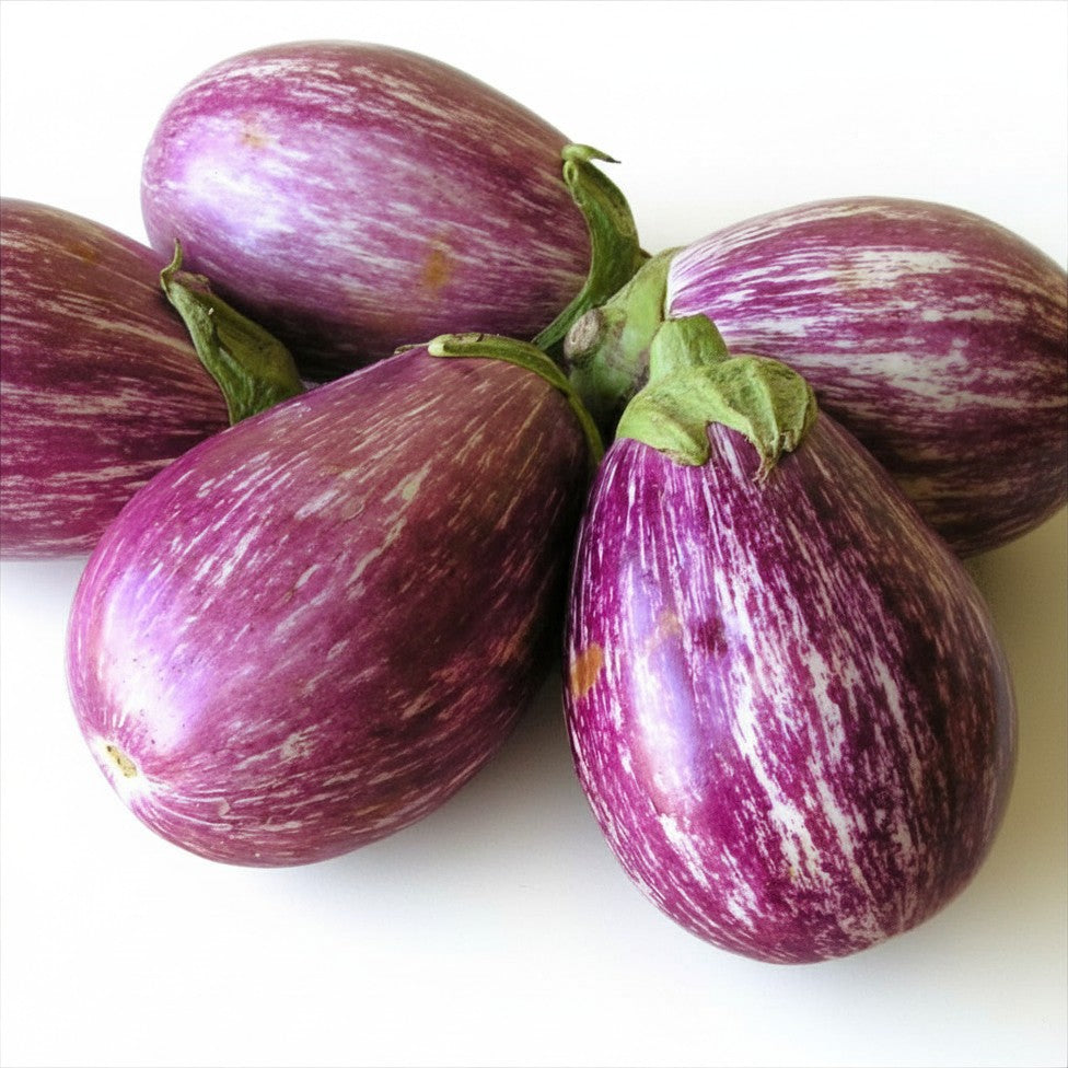 Semences - Aubergine Listada de Gandia