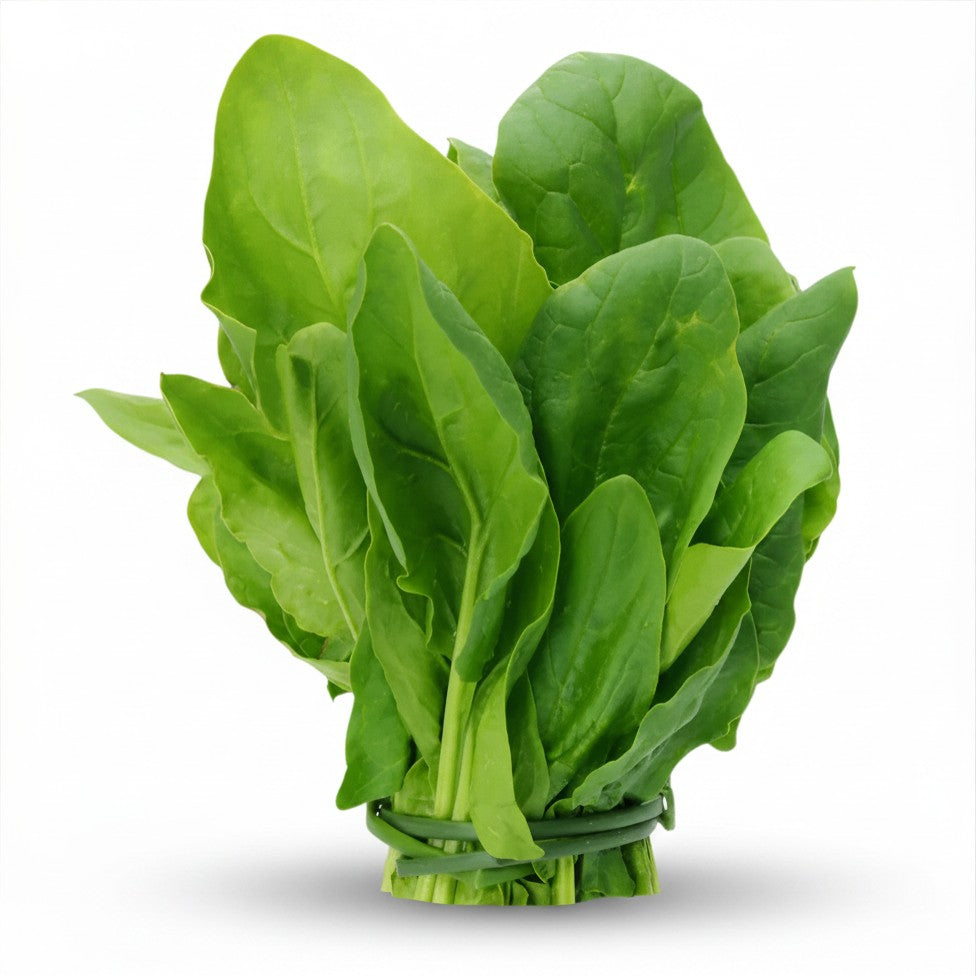 Seeds - spinach