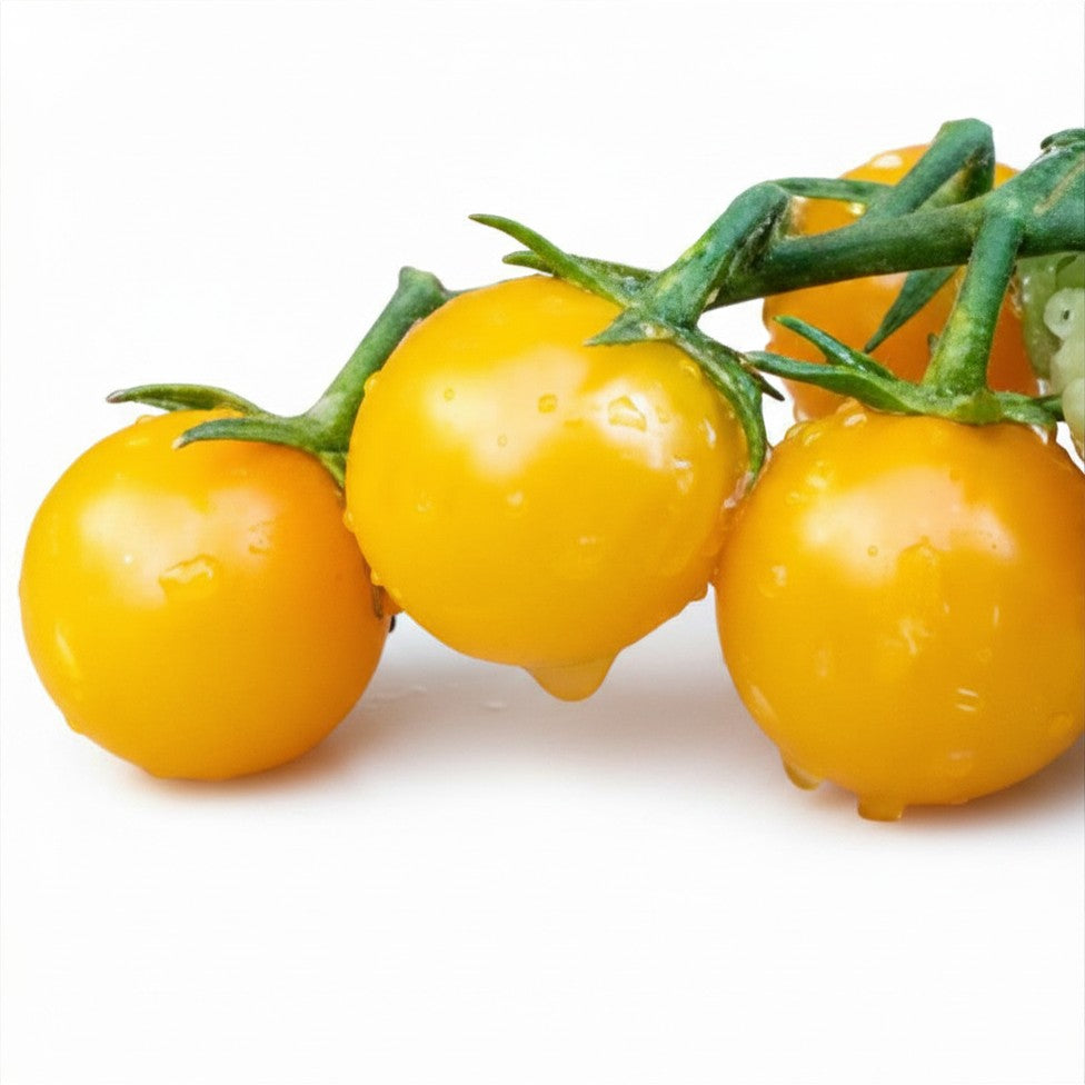 Honey Cherry Tomato Seeds