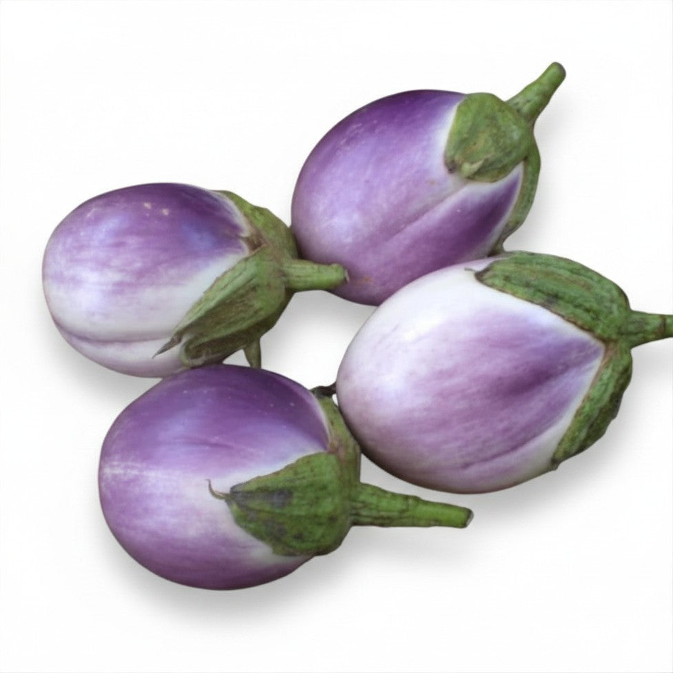Seeds - Eggplant Rosa Bianca