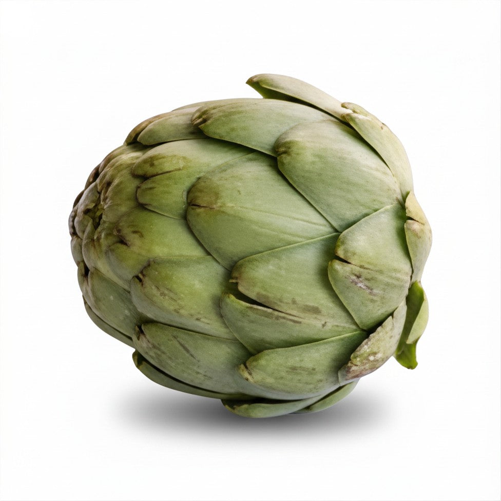Seeds - Globe Artichoke