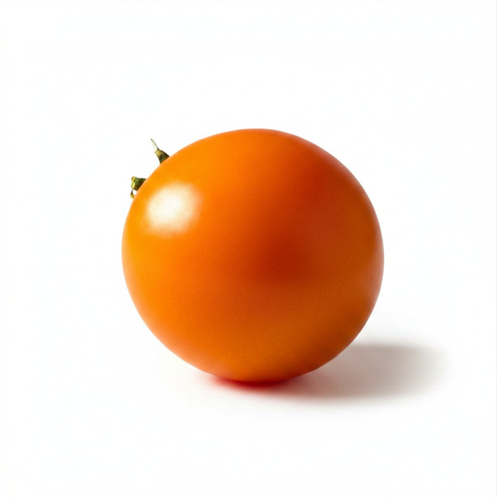 Semences de tomate Jaune de Flamme