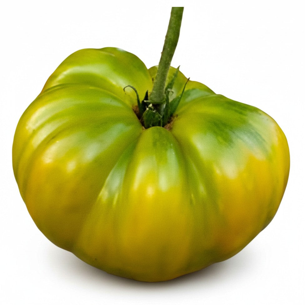 Semences de Tomate Cherokee Giant Green