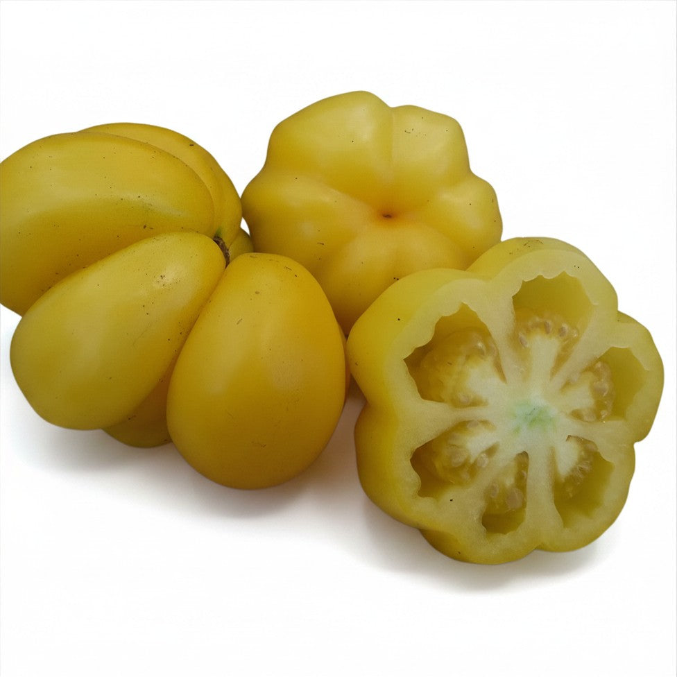 Semences de Tomate Yellow Stuffer