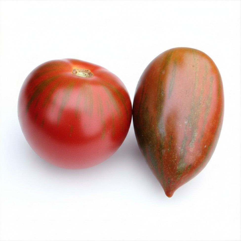 Semences de tomate Tiger Pear