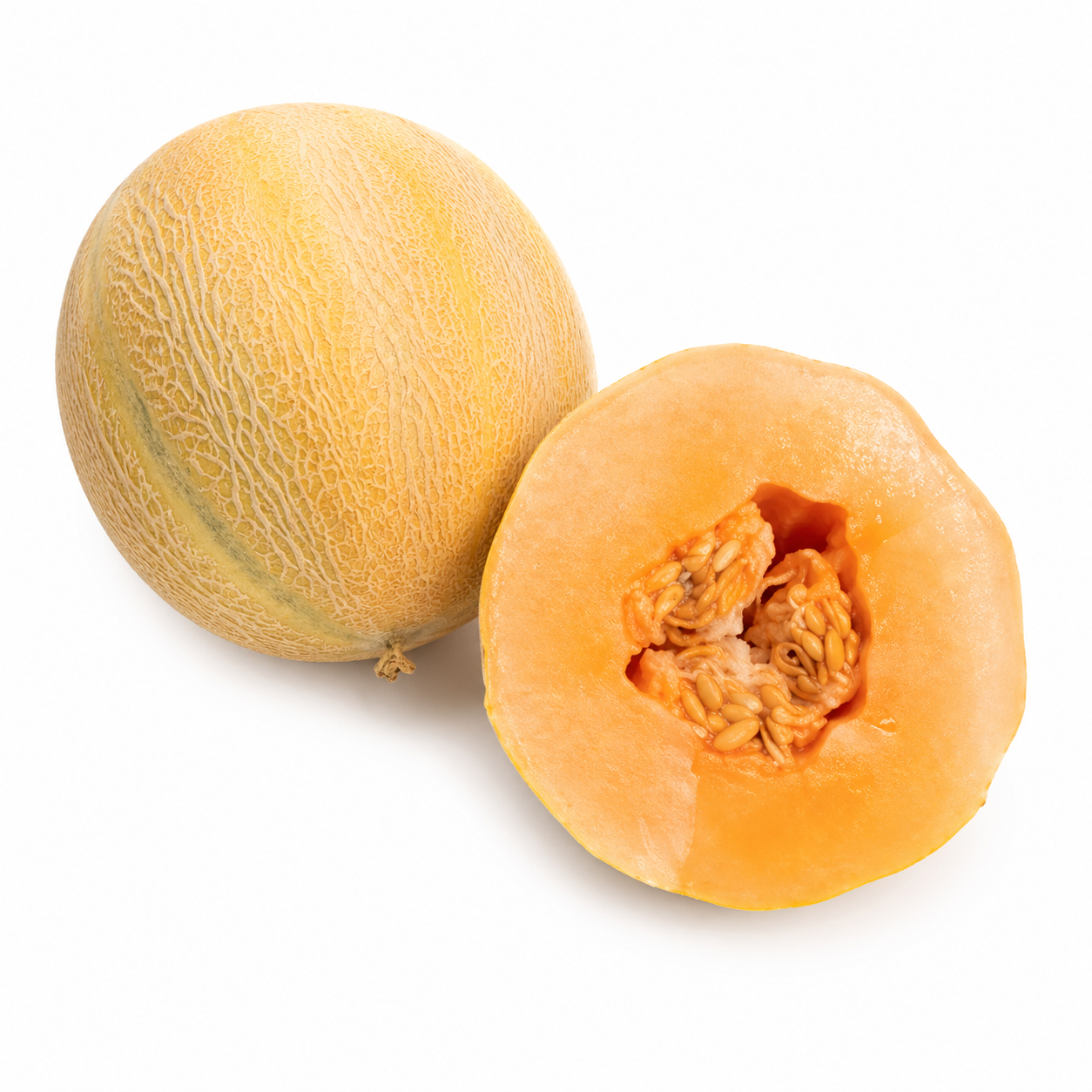 Semences de Melon Minnesota Midget
