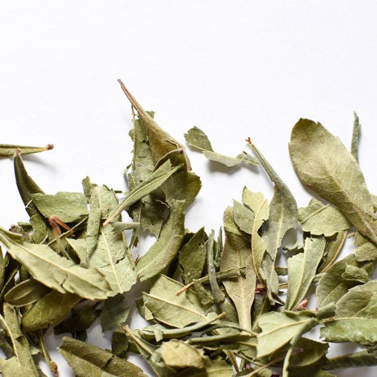 feuilles de Myrique baumier