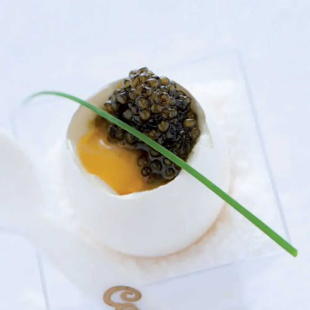 Osetra Caviar – Russian Sturgeon