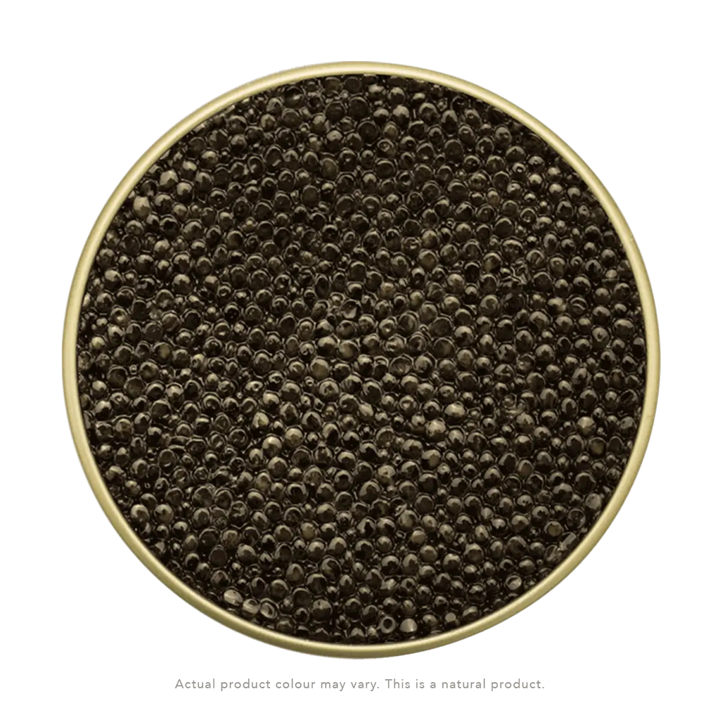 Osetra Caviar – Russian Sturgeon