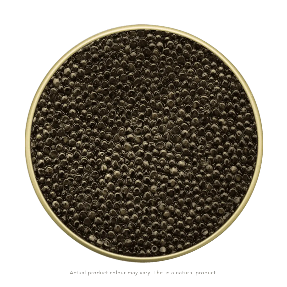 Osetra Caviar – Russian Sturgeon