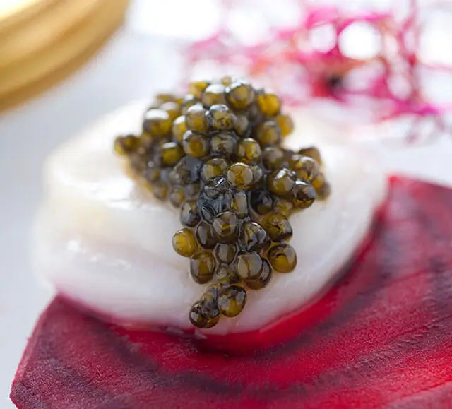 Osetra Caviar – Russian Sturgeon