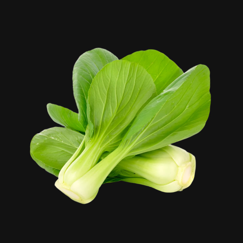 Semences de pakchoï