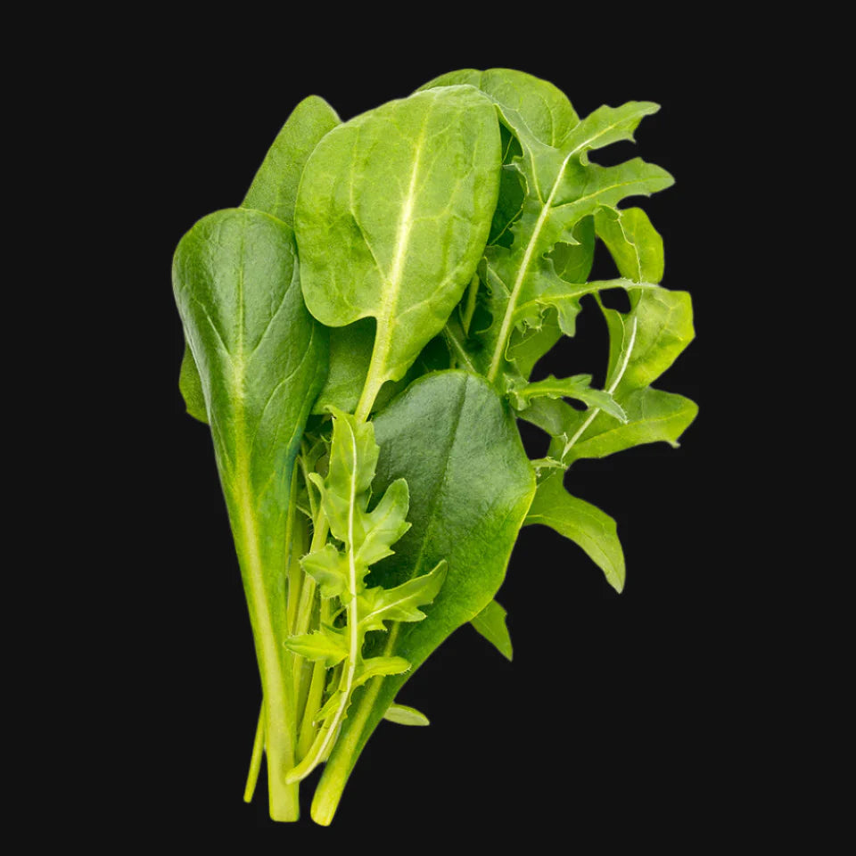 Semences de mélange à salade