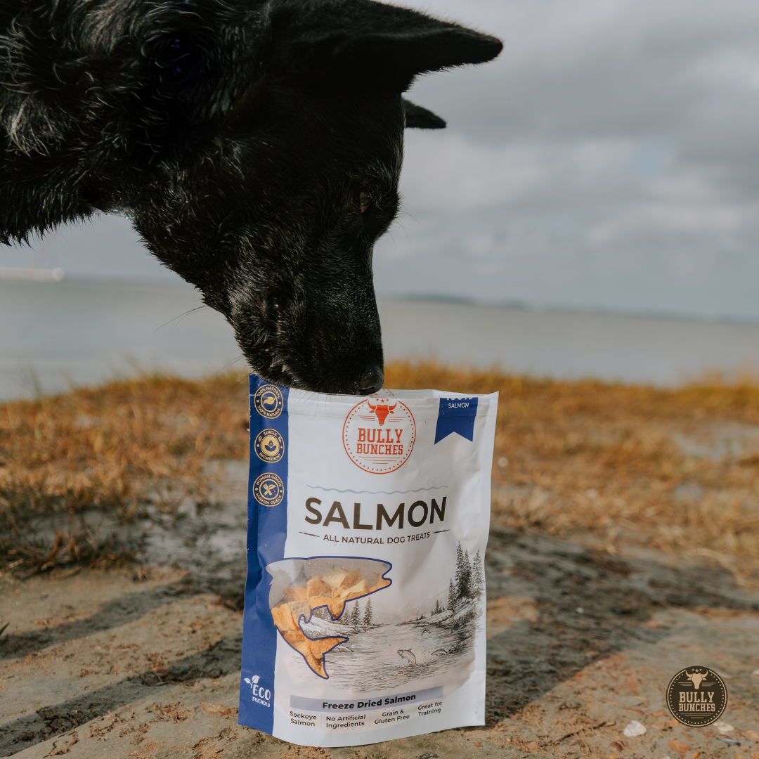 Dried salmon treats