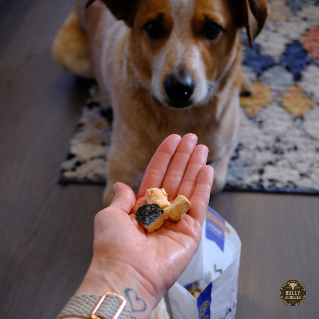 Dried salmon treats