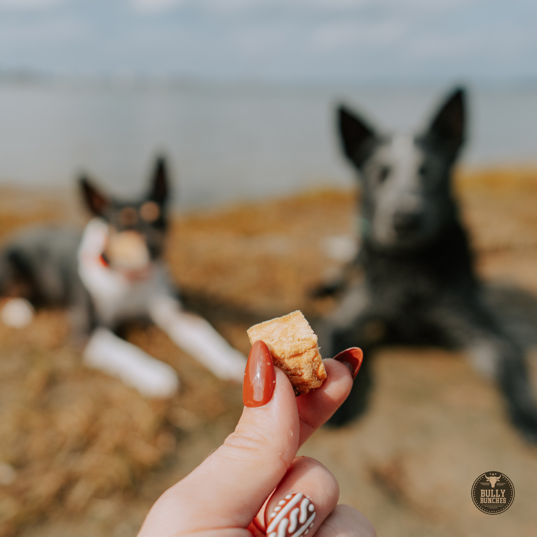 Dried salmon treats