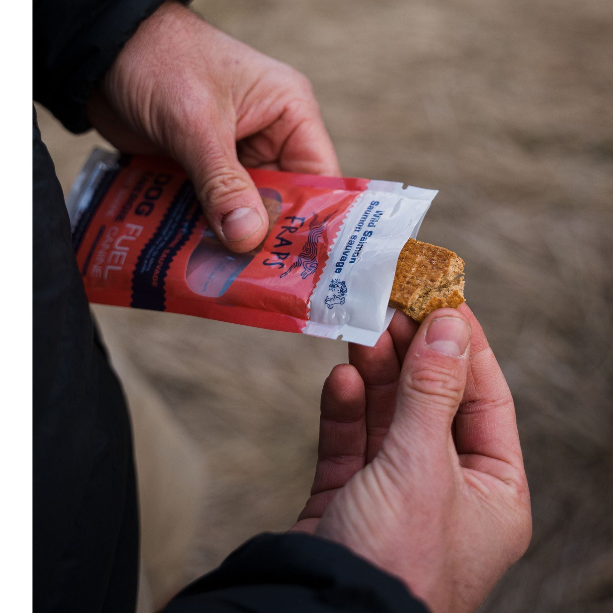 Wild Salmon Energy Bar for Dogs
