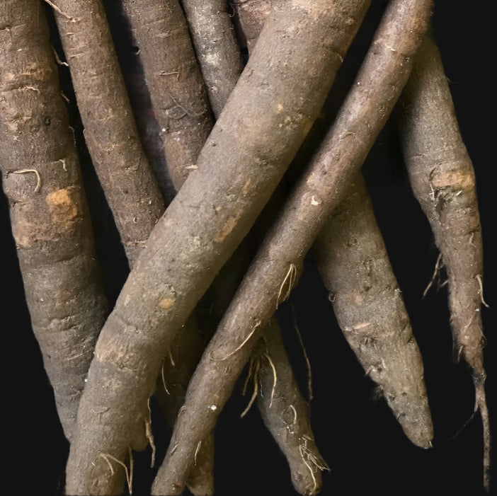 Semences de la scorsonère (Black Salsify)