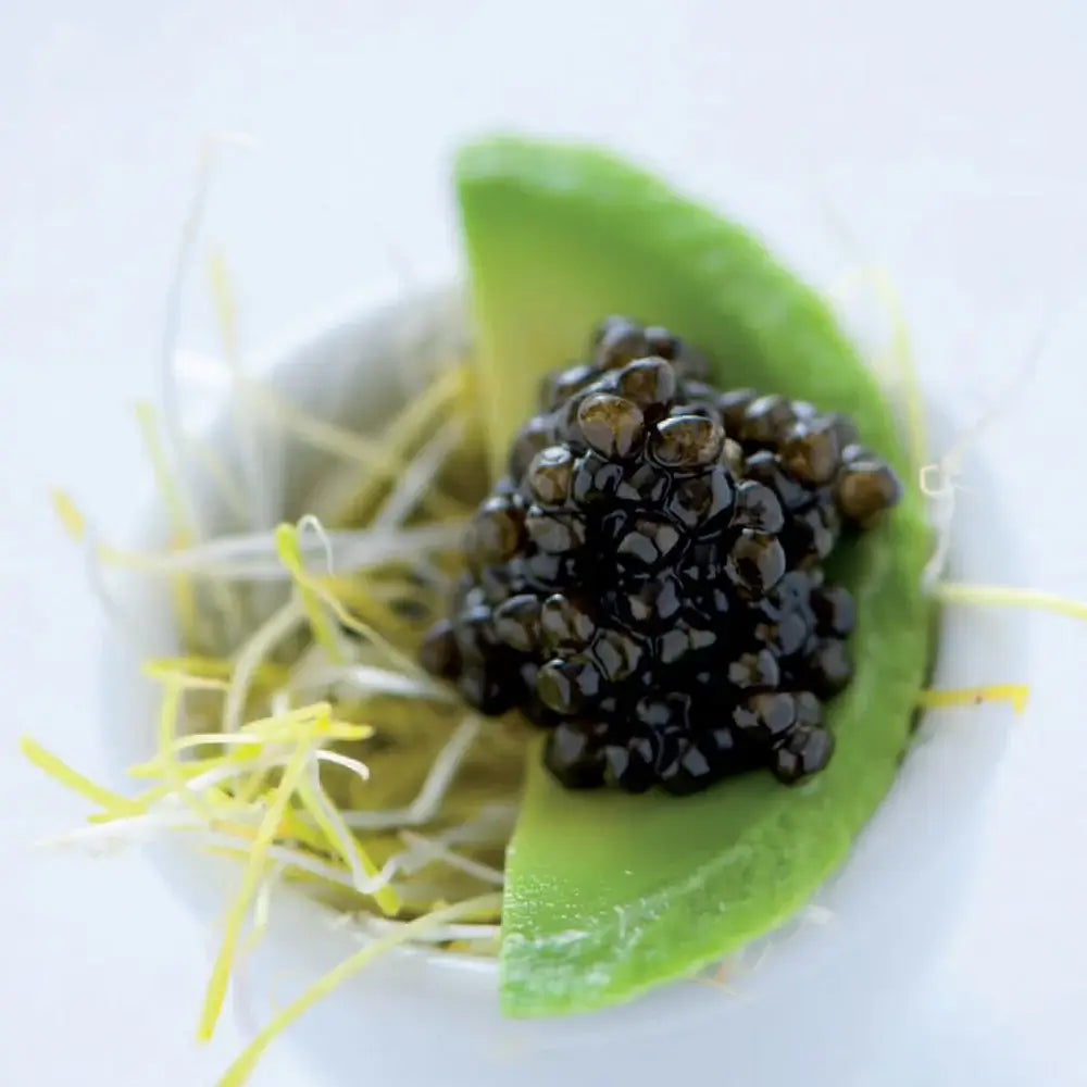 Caviar sibérien - Baerii