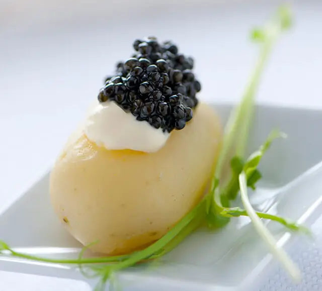 Caviar sibérien - Baerii