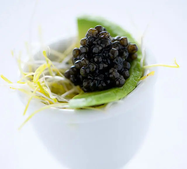 Caviar sibérien - Baerii
