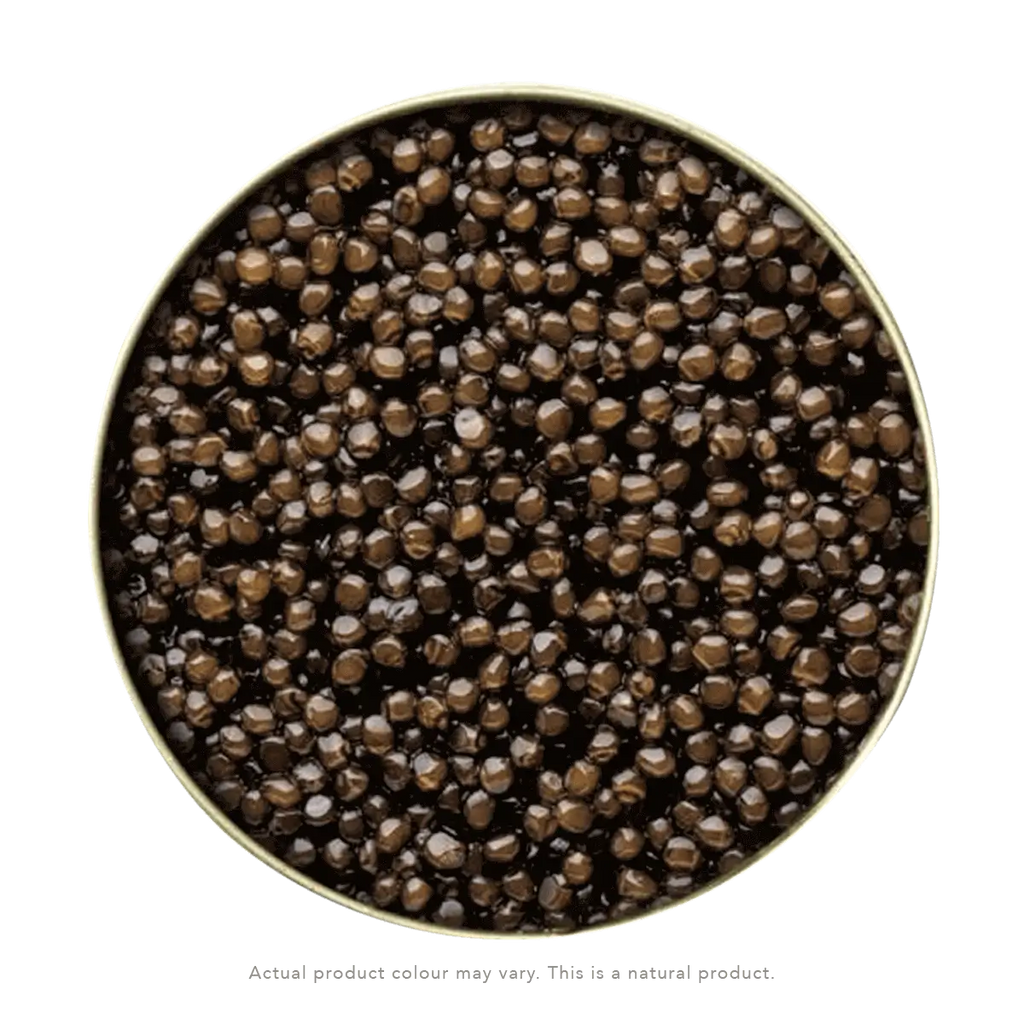 Caviar sibérien - Baerii