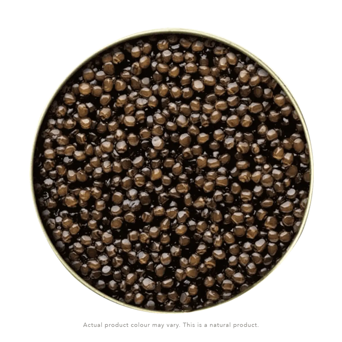 Caviar sibérien - Baerii