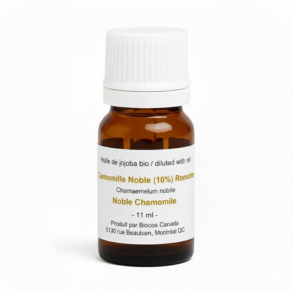 Camomille Noble