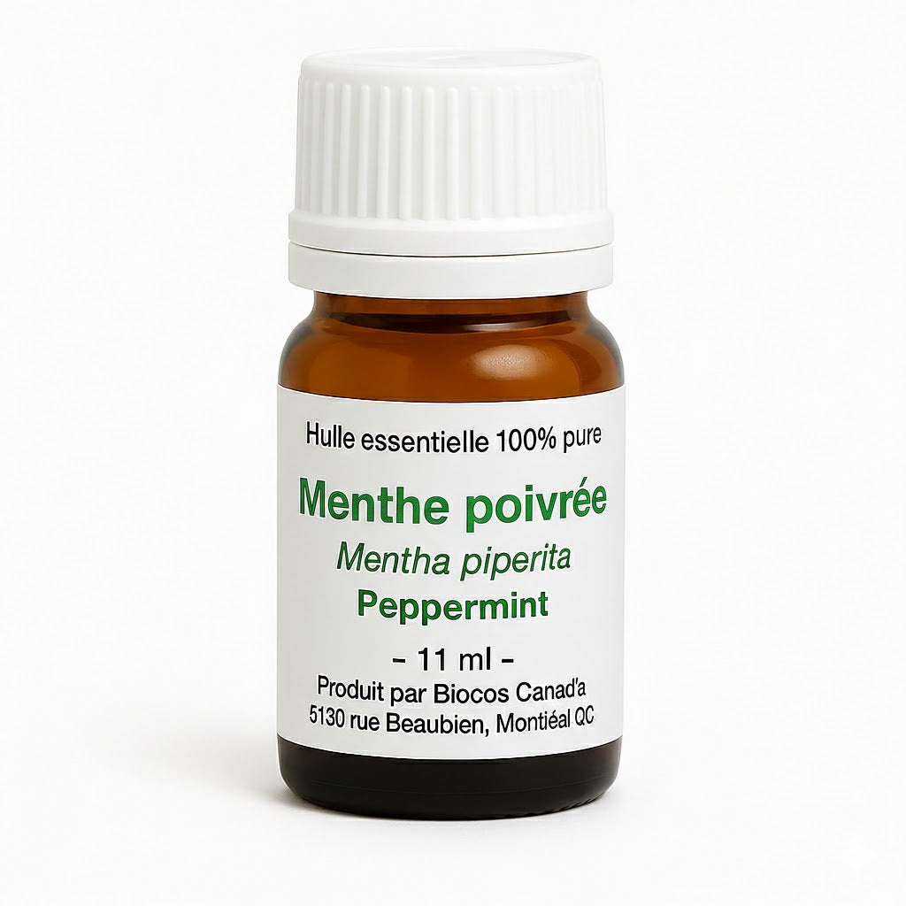Menthe poivrée