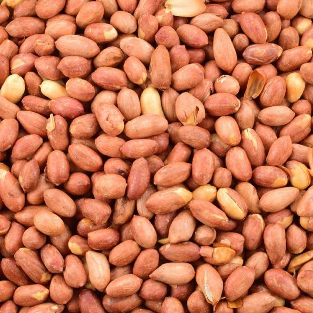 Arachides grillées sans sel