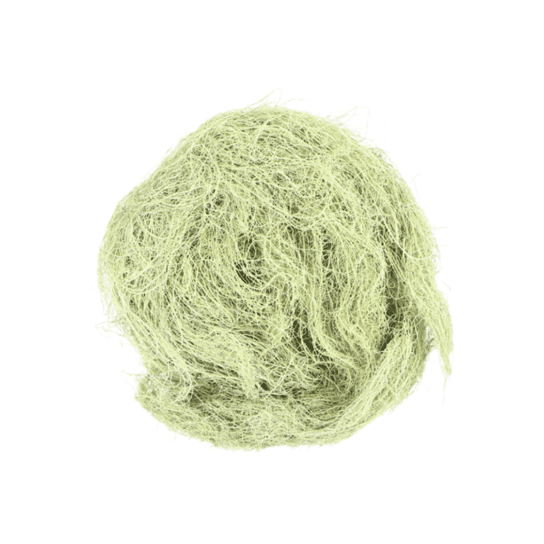 Usnea Barbata (Old Man's Beard)