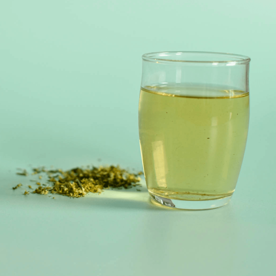 Verge d'Or (Solidago du Canada) - Sommités
