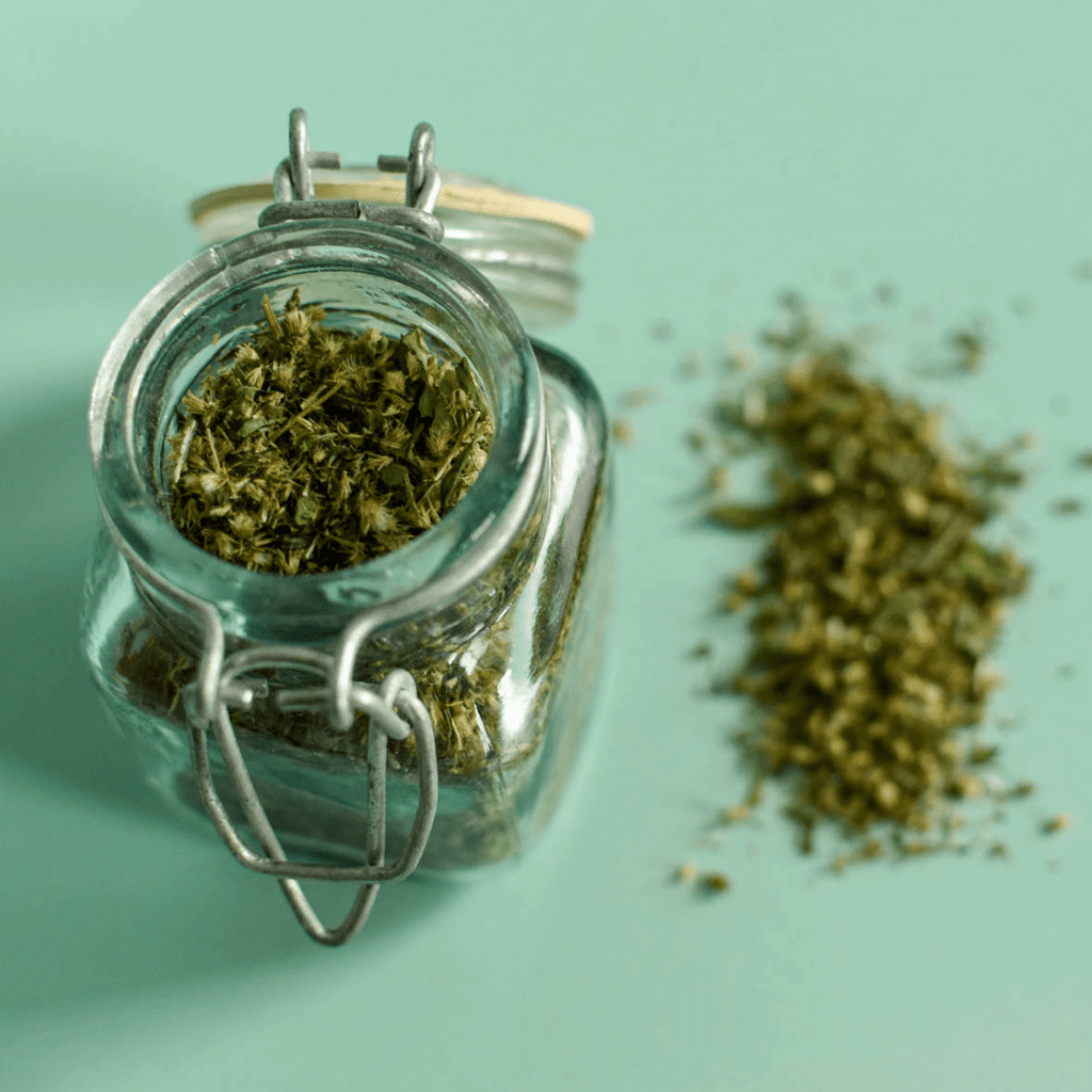 Verge d'Or (Solidago du Canada) - Sommités