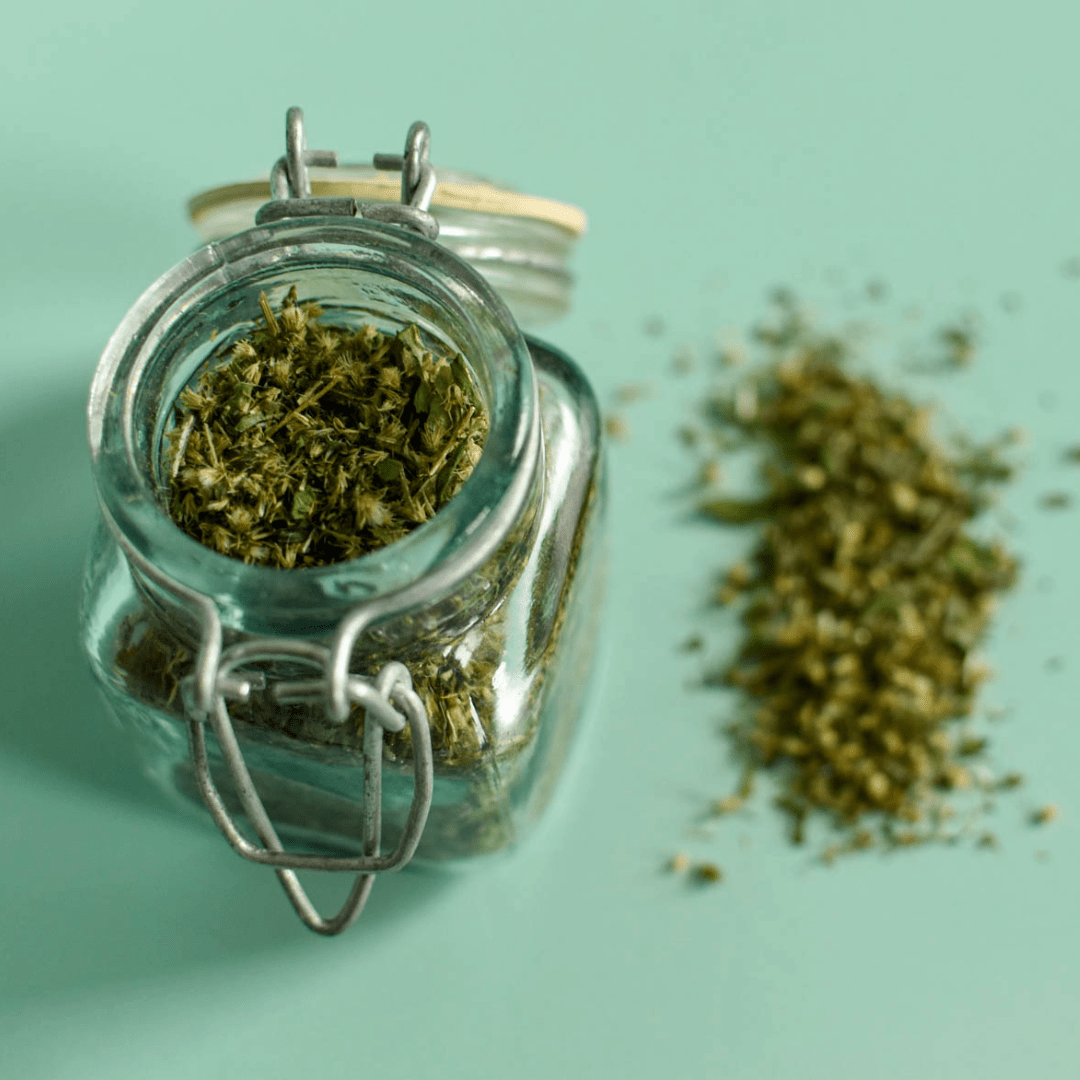 Verge d'Or (Solidago du Canada) - Sommités