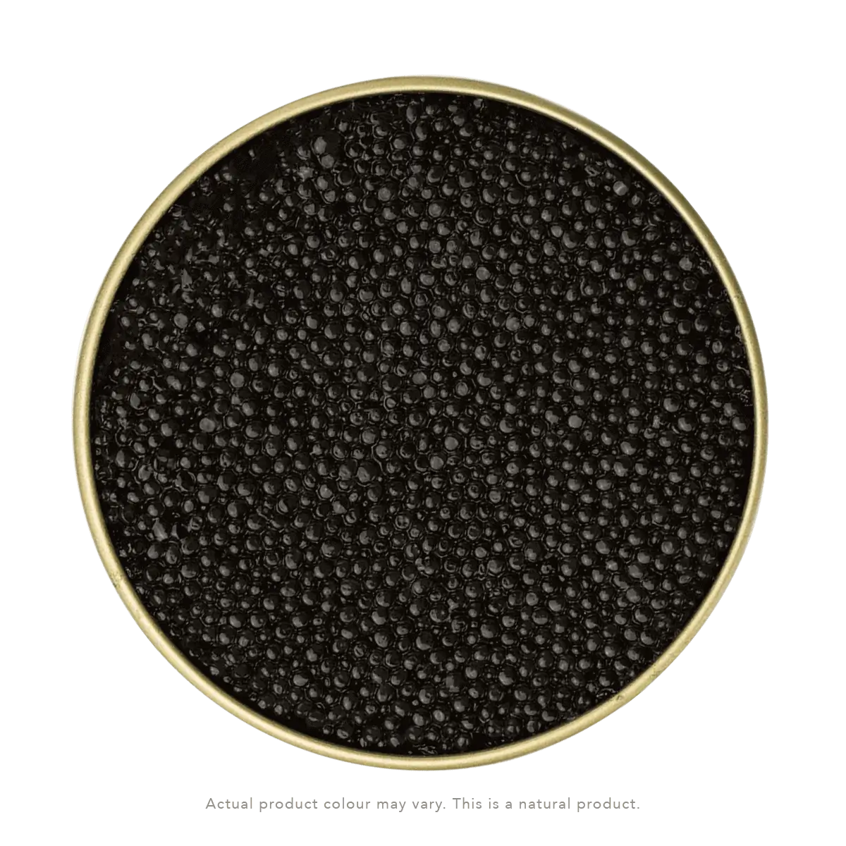 Caviar d’esturgeon blanc – Biocos canada