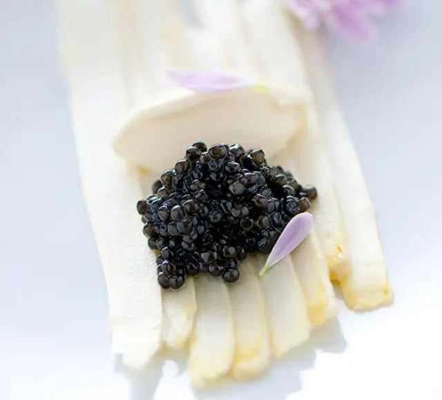 Caviar d’esturgeon blanc – Tradition