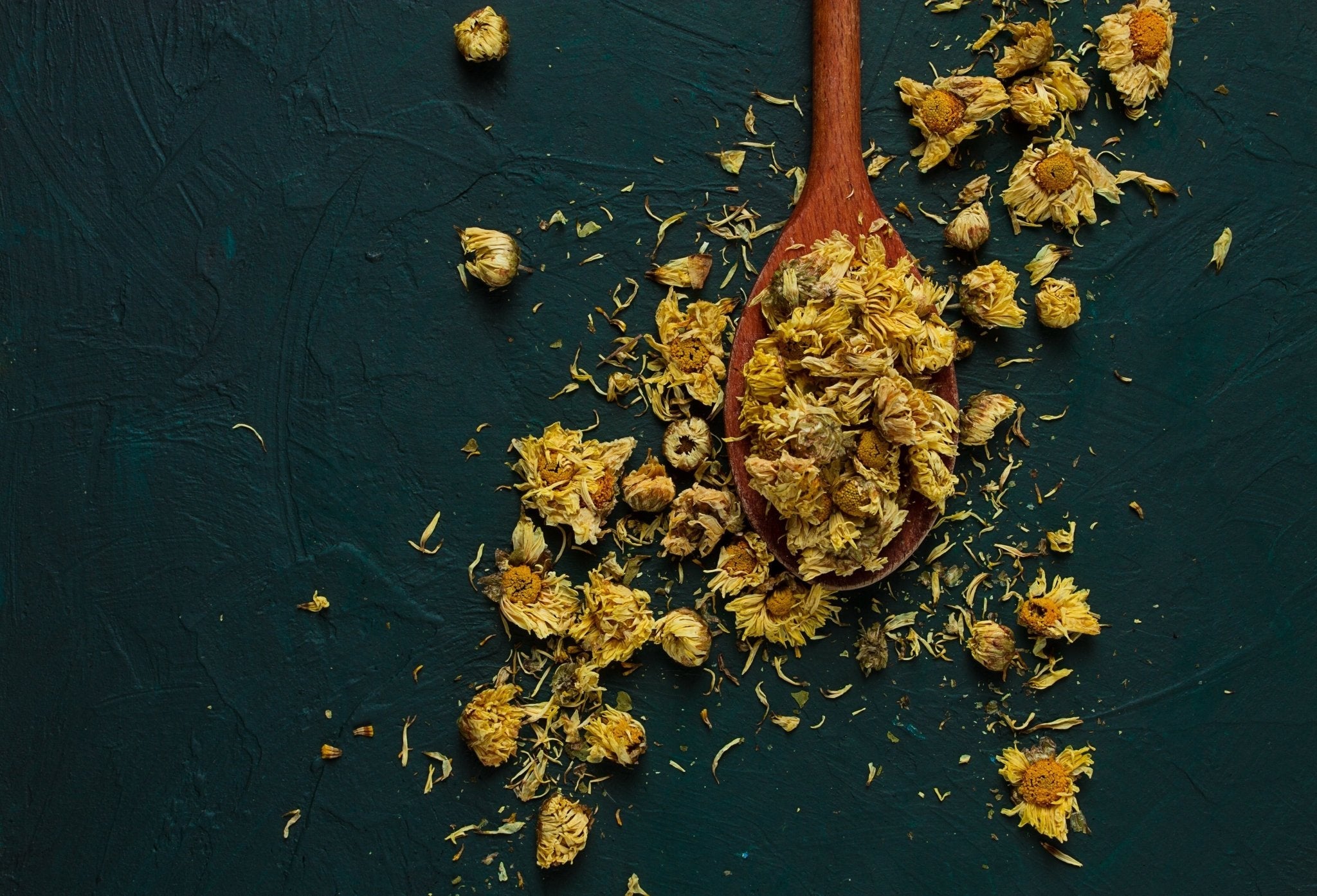 Fleurs d'Arnica Sauvage Récoltées
