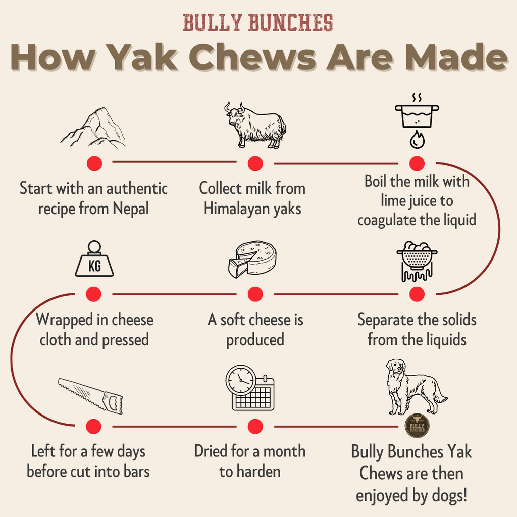 Gâterie à mâcher Yak au bleuet